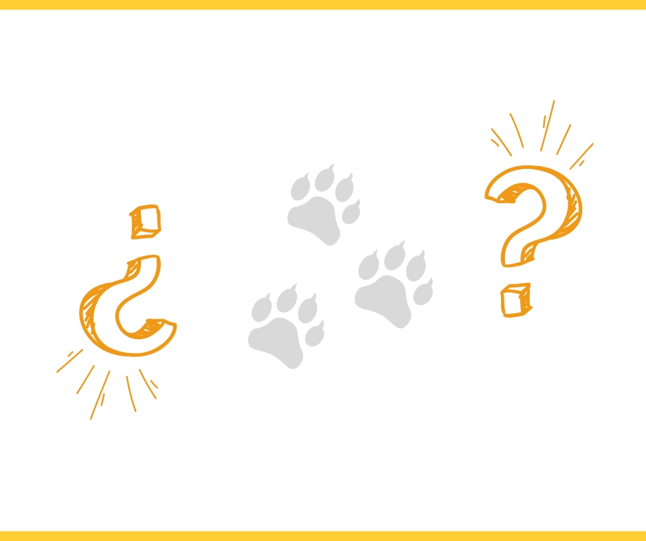 gdc/archivos/donde sera el congreso(2).jpg